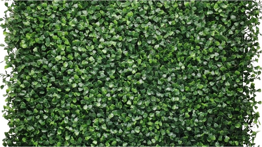 Boxwood Ivy - Synthetic Ivy