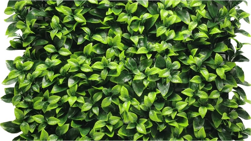 Gardenia Ivy - Synthetic Ivy