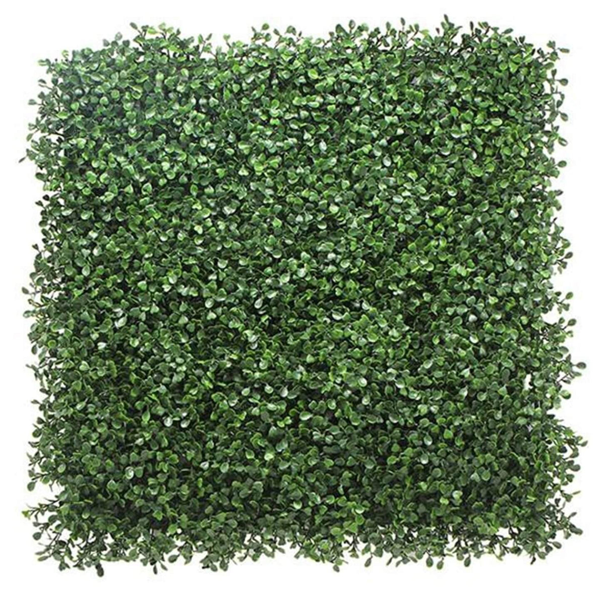 Boxwood Ivy - Synthetic Ivy