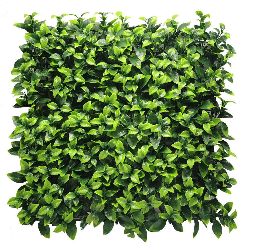 Gardenia Ivy - Synthetic Ivy