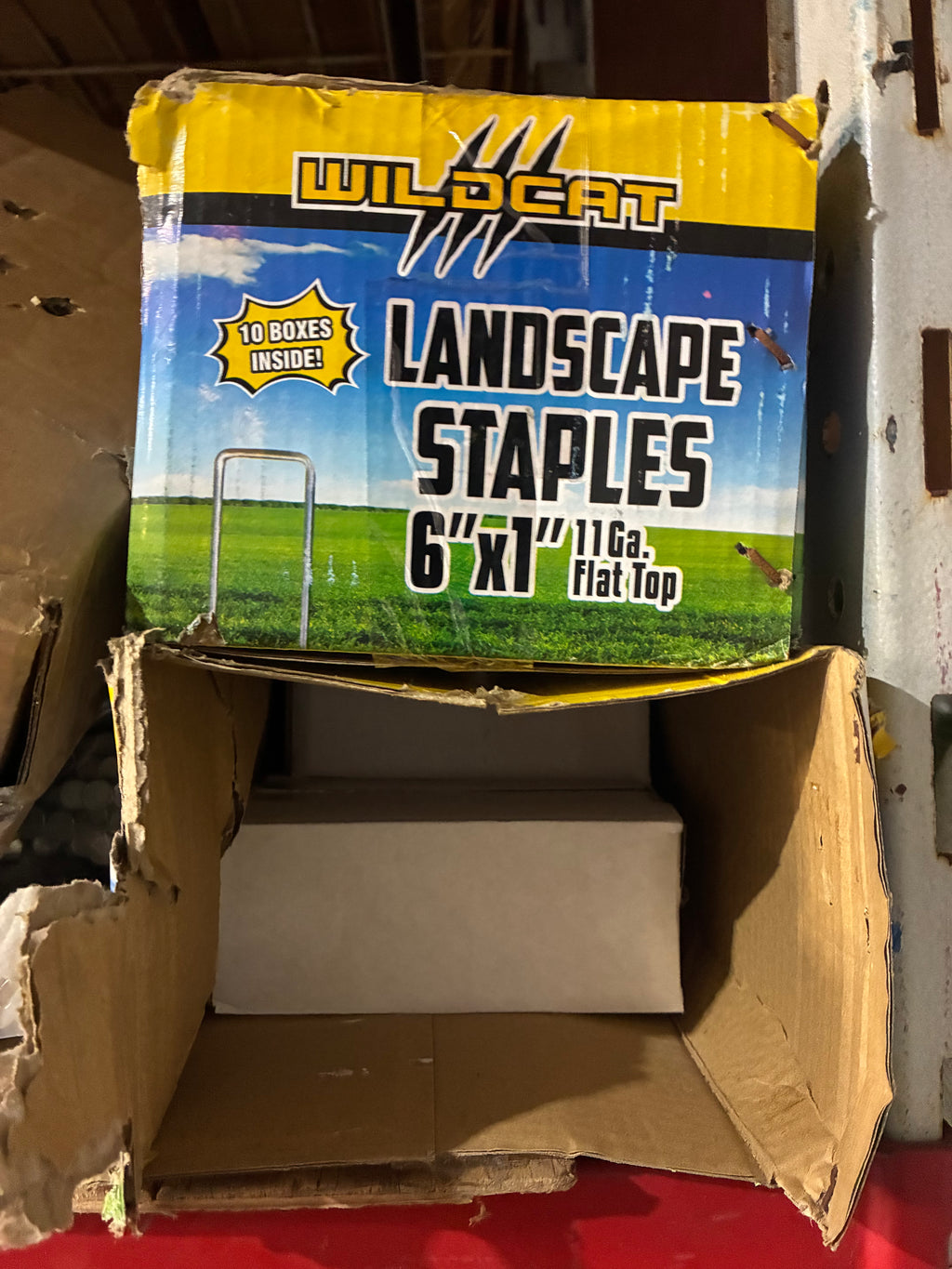 WildCat 11-Gauge Landscape Staples- Box of 100