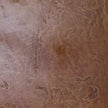 In-Fluence Water Base Stain RTU, 4 Ounce - Pecan image