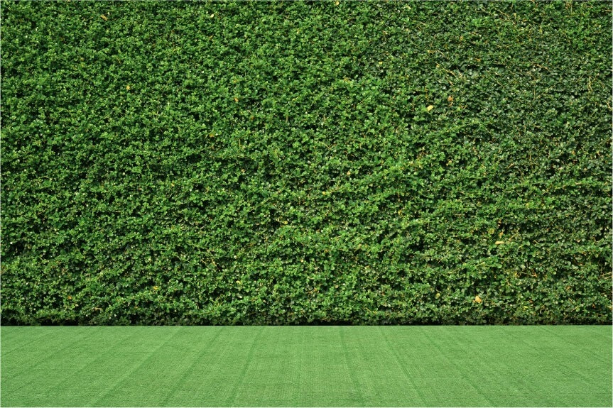 Boxwood Ivy - Synthetic Ivy