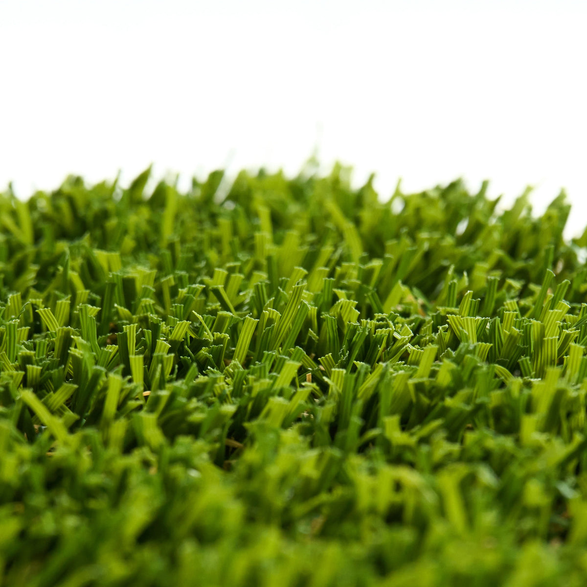 Landscape 76RM